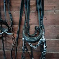 Testiera con svaroski