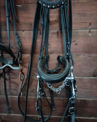 Testiera con svaroski