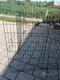 gabbia per cani 