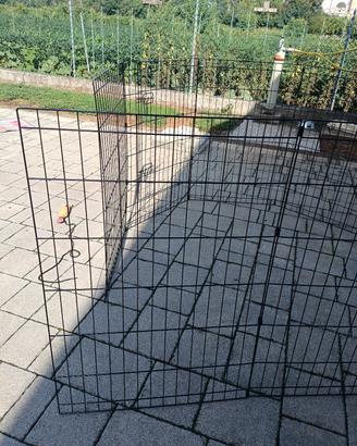 gabbia per cani 