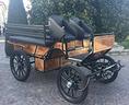 carrozza-per-cavallo-wagonet-doppio-driver