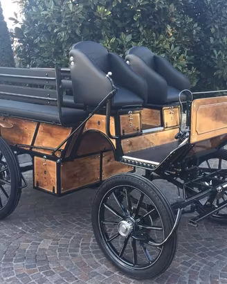 Carrozza per cavallo wagonet doppio driver