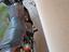 Immagine 4