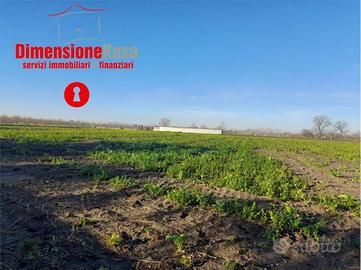 Terreno di 4840 m² a Nola