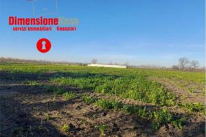 Terreno di 4840 m² a Nola