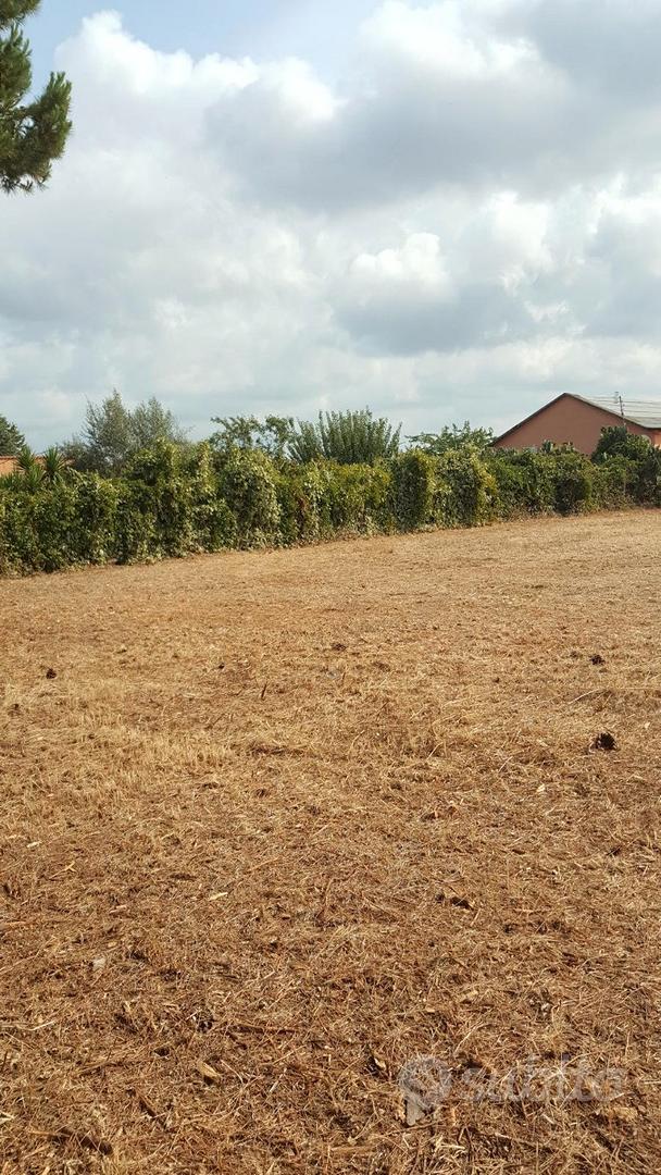 Terreno a 200m dal mare - Tarquinia loc. S. Giorgi - Vista 3