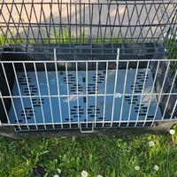 Gabbia trasporto per cane