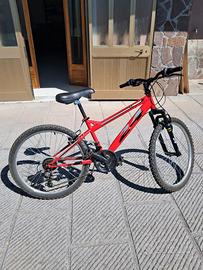 Bicicletta mountain-bike