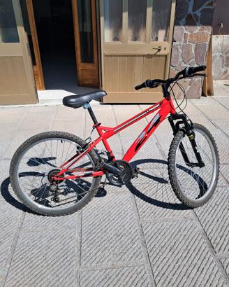 Bicicletta mountain-bike