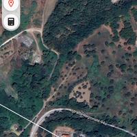 Domo e addestro cavalli in diverse tecniche e mont