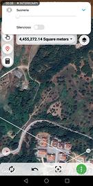 Domo e addestro cavalli in diverse tecniche e mont