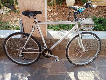 Mountain bike trubbiani 
