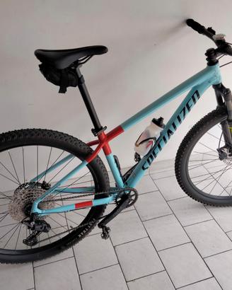 mtb specialized