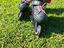 Immagine 3