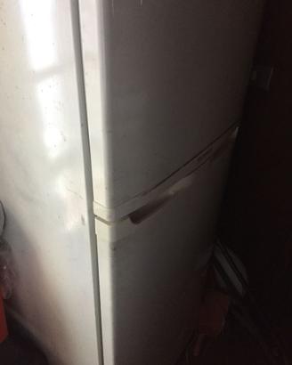 Frigo