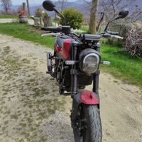 Benelli leoncino 250