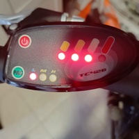 Bicicletta elettrica