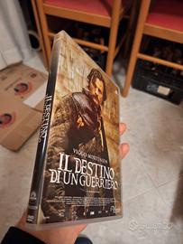 il destino di un guerriero 