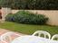 Immagine 6