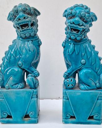 Cani di Foo 