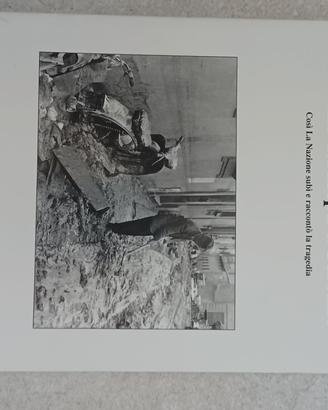 Libro L'Arno straripa a Firenze La Nazione 