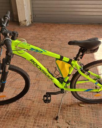 Bicicletta mountain bike