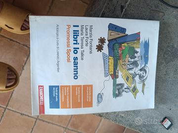 I libri lo sanno promessi sposi