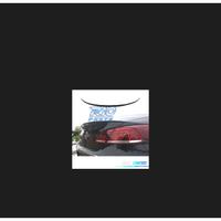 SPOILER VOLKSWAGEN VW PASSAT CC 08-16 IN ABS