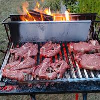 Barbecue a legna