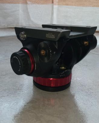 Testa video
