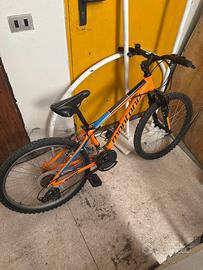 Bici da ragazzo 24 pollici