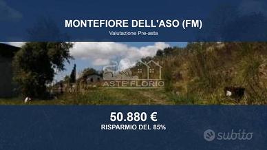 Immobile in asta di 5290 m² a Montefiore dell'Aso