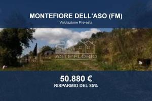Immobile in asta di 5290 m² a Montefiore dell'Aso