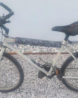 MTB vintage COLNAGO uomo