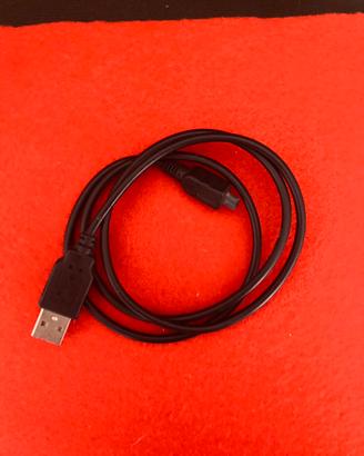 Cavetto USB