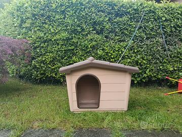 cuccia per cane