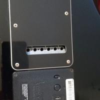 Fender stratocaster fishmann triploplay