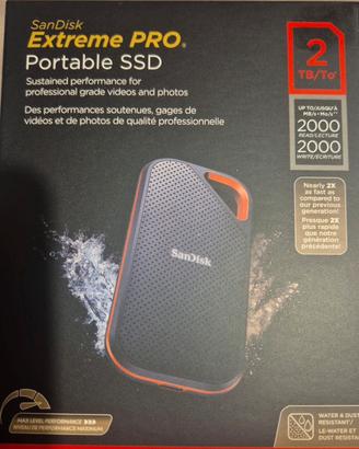 Ssd sandisk