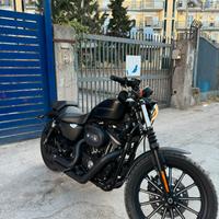 Harley davidson 883