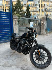 Harley davidson 883