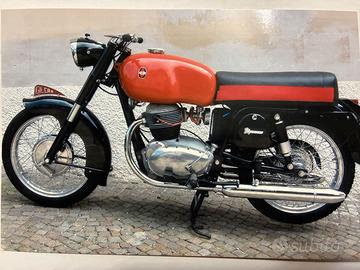 Moto Gilera  B300 extra