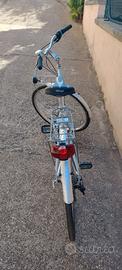 Nuzzi Urban 2