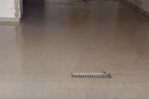 Negozio pianura 60mq