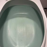 Lettiera aperta per gatti