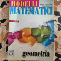 Modelli matematici Geometria ATLAS
