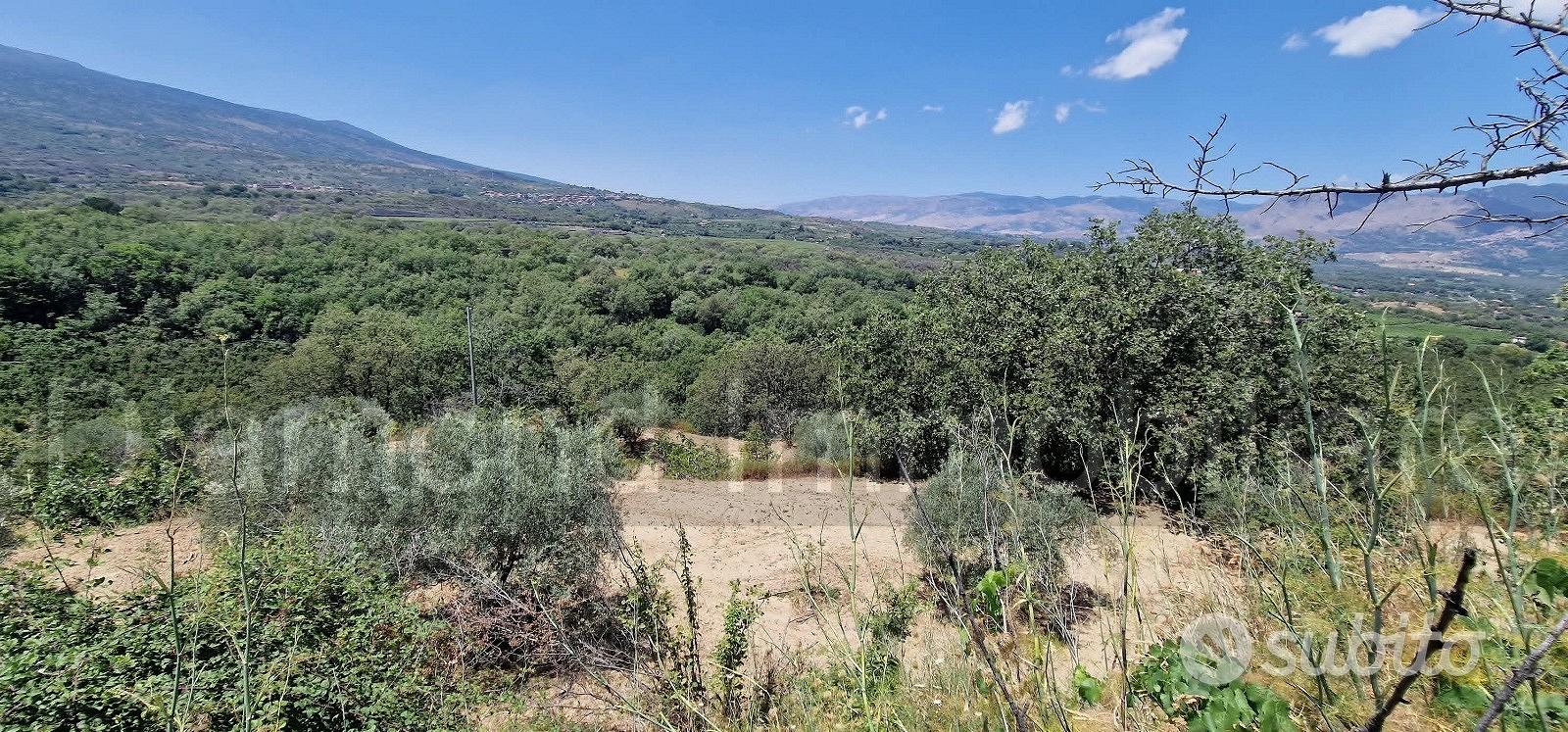 Terreno agricolo 7,5 ettari Castiglione di Sicilia - Altro