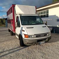 Daily trasporto animali