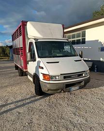 Daily trasporto animali