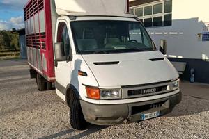 Daily trasporto animali