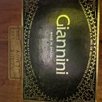 Rara Giannini AWN 71 (Febbraio 1977)